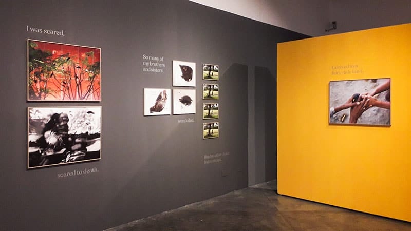 Installation view of The Migrant.