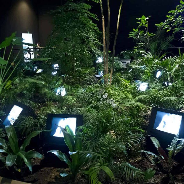 New-Media_feature_Nam-June-Paik-TV-Garden-1974-video-installation-with-color-television-sets-and-live-plants-dimensions-vary-with-installation-3